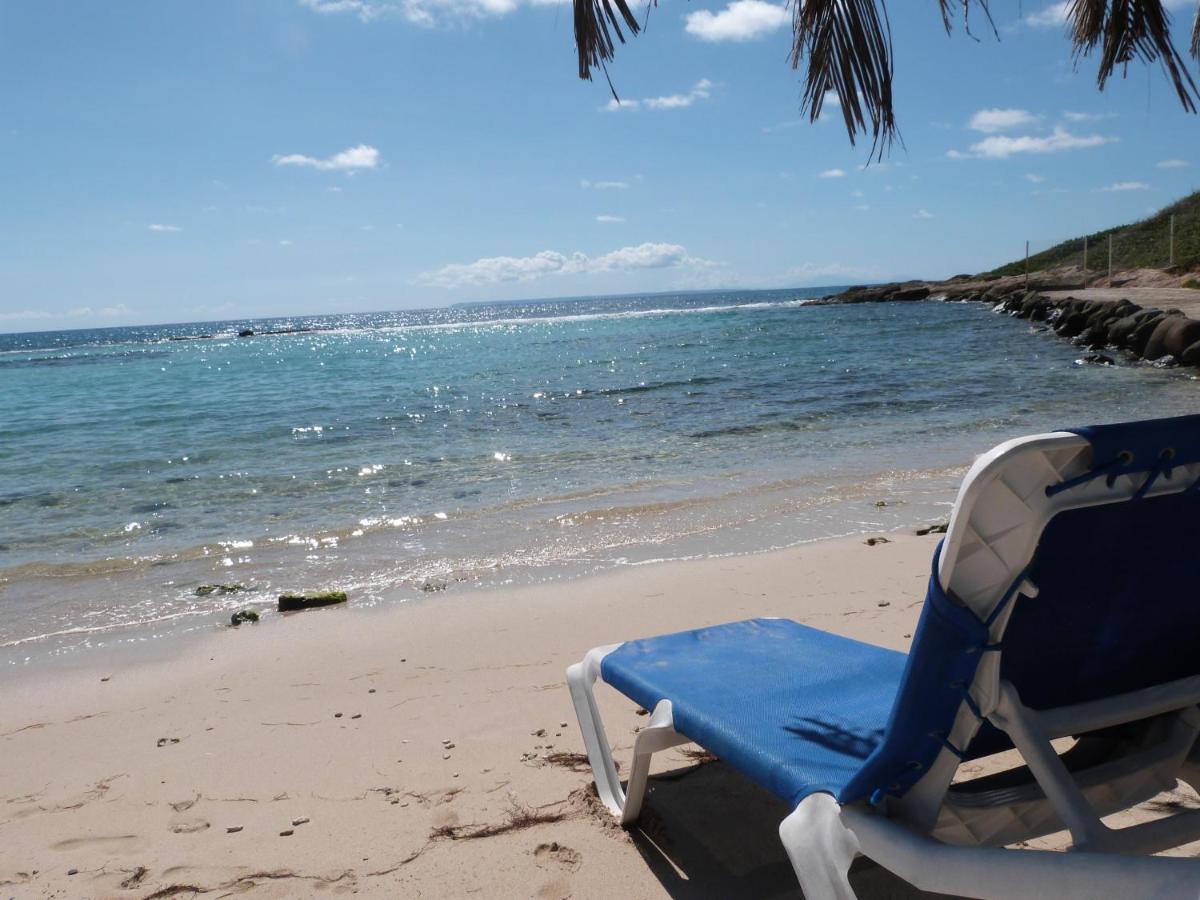 Studio Vue Mer Piscine Plage Kaz Punch Manganao Chez Julie Saint-Francois  Dış mekan fotoğraf
