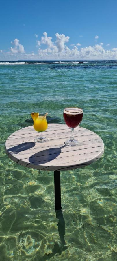 Studio Vue Mer Piscine Plage Kaz Punch Manganao Chez Julie Saint-Francois  Dış mekan fotoğraf