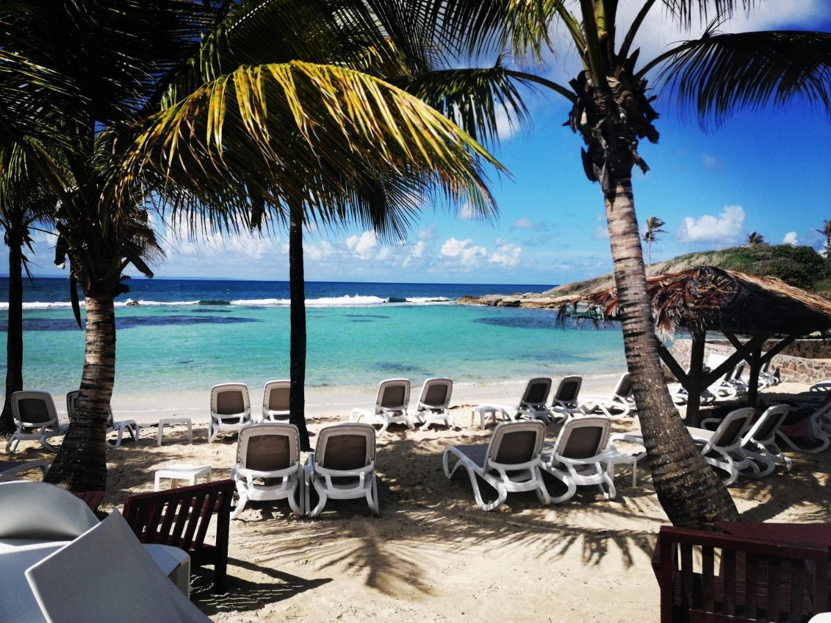 Studio Vue Mer Piscine Plage Kaz Punch Manganao Chez Julie Saint-Francois  Dış mekan fotoğraf